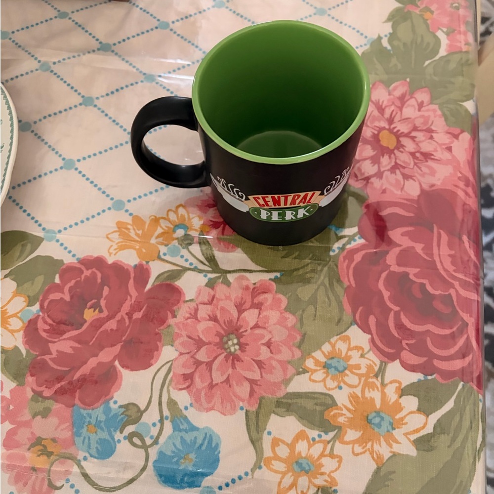 FRIENDS Central Perk Black and Green Mug